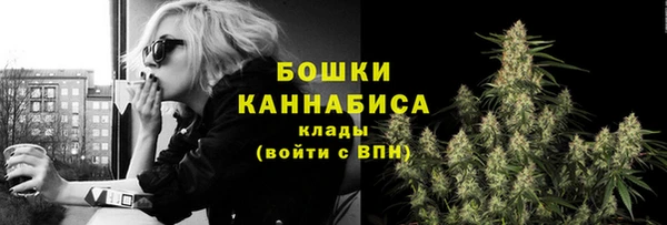 трава Арсеньев