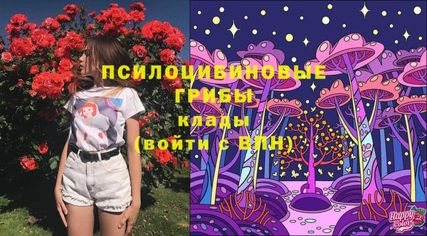 эйфоретик Балахна
