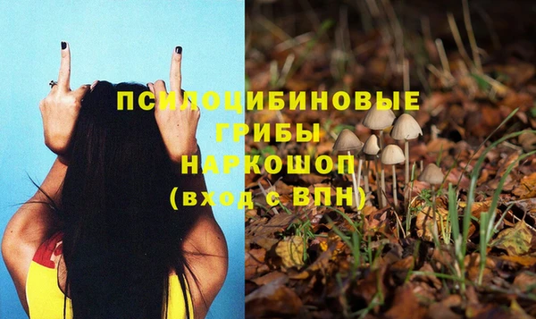 соль курить ск Аркадак