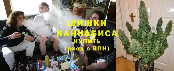 трава Арсеньев