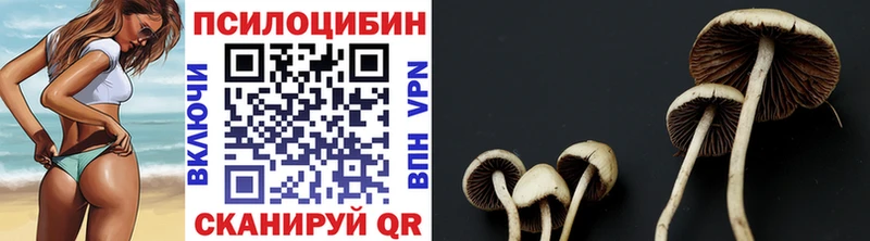 ссылка на мегу ссылки  Ленинск  Галлюциногенные грибы GOLDEN TEACHER 